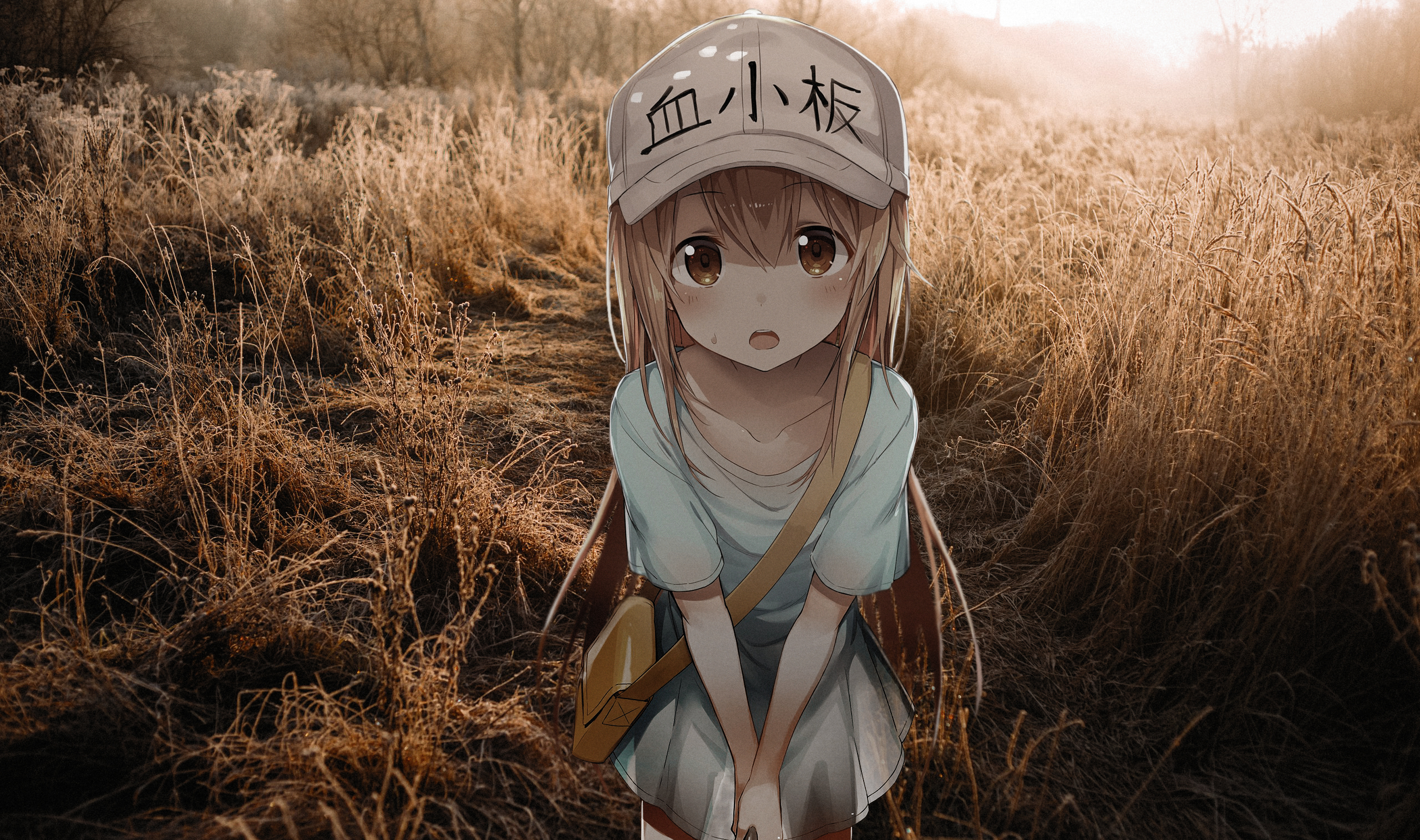 🙏 佛祖保佑 | 🛡️ 神兽护体 | ✅ 永无BUG