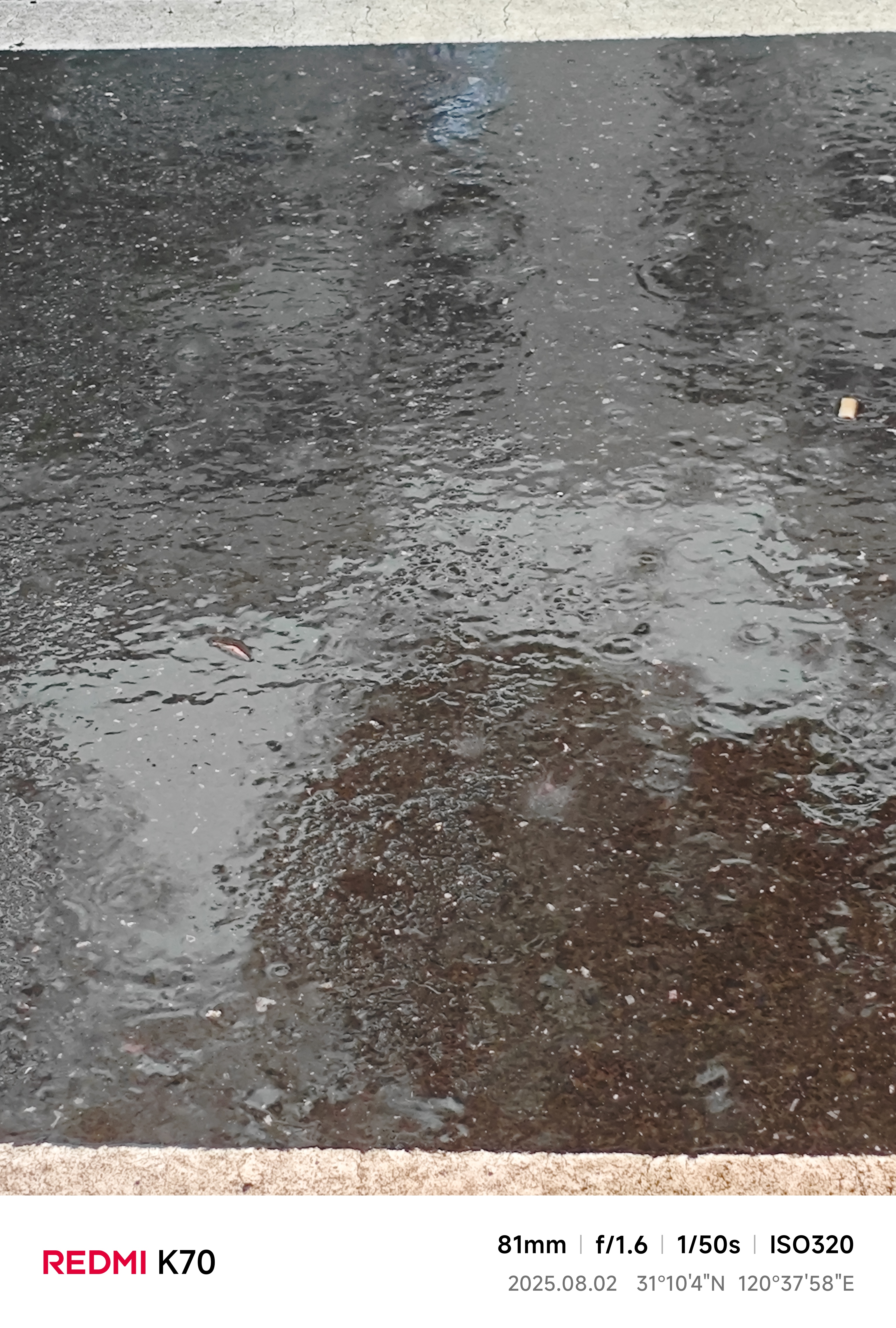 雨